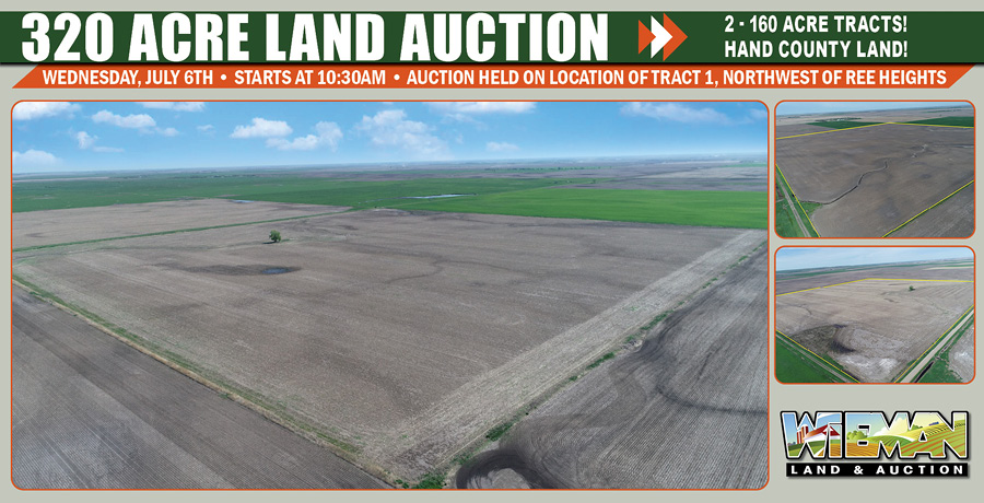 Pettit Land Auction